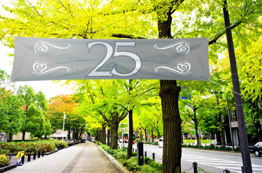 Spandoek 25 Jaar Zilver